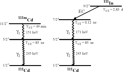 cdmin111.gif (4709 bytes)